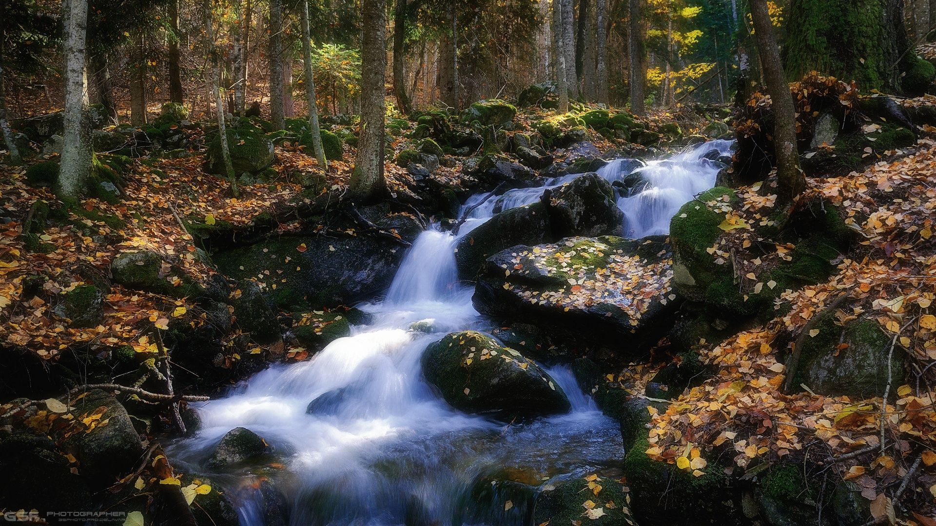 природа пейзаж осень горы реки лес, Serj Master