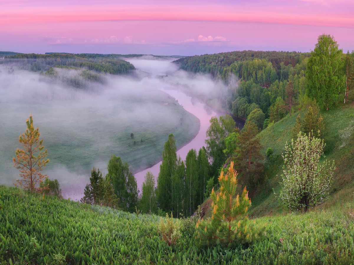 туман, весна, Дмитрий Медянцев