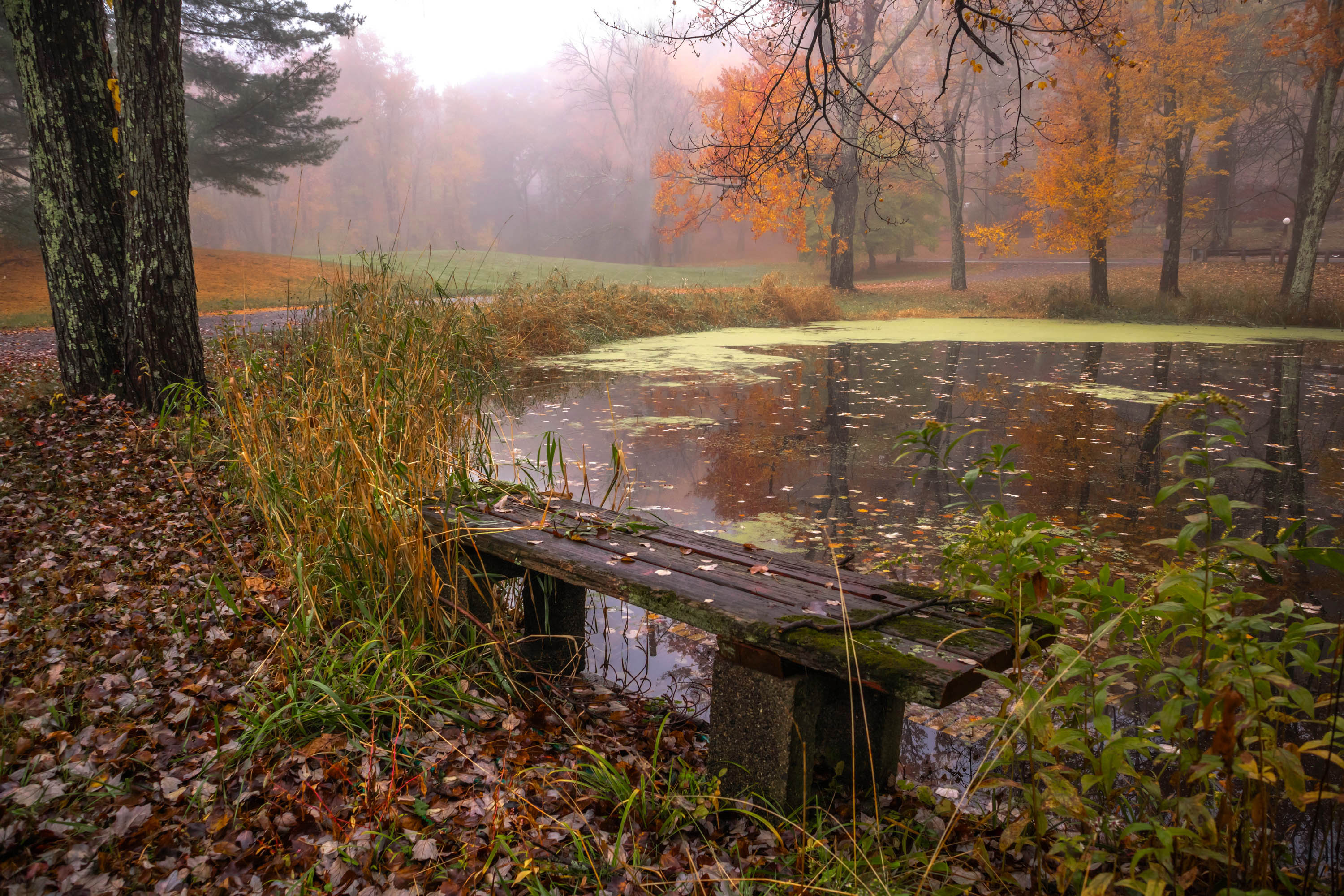 природа,осень,пейзаж,деревья,отражения,озеро,вода,листья,утро,, Антонина Яновска