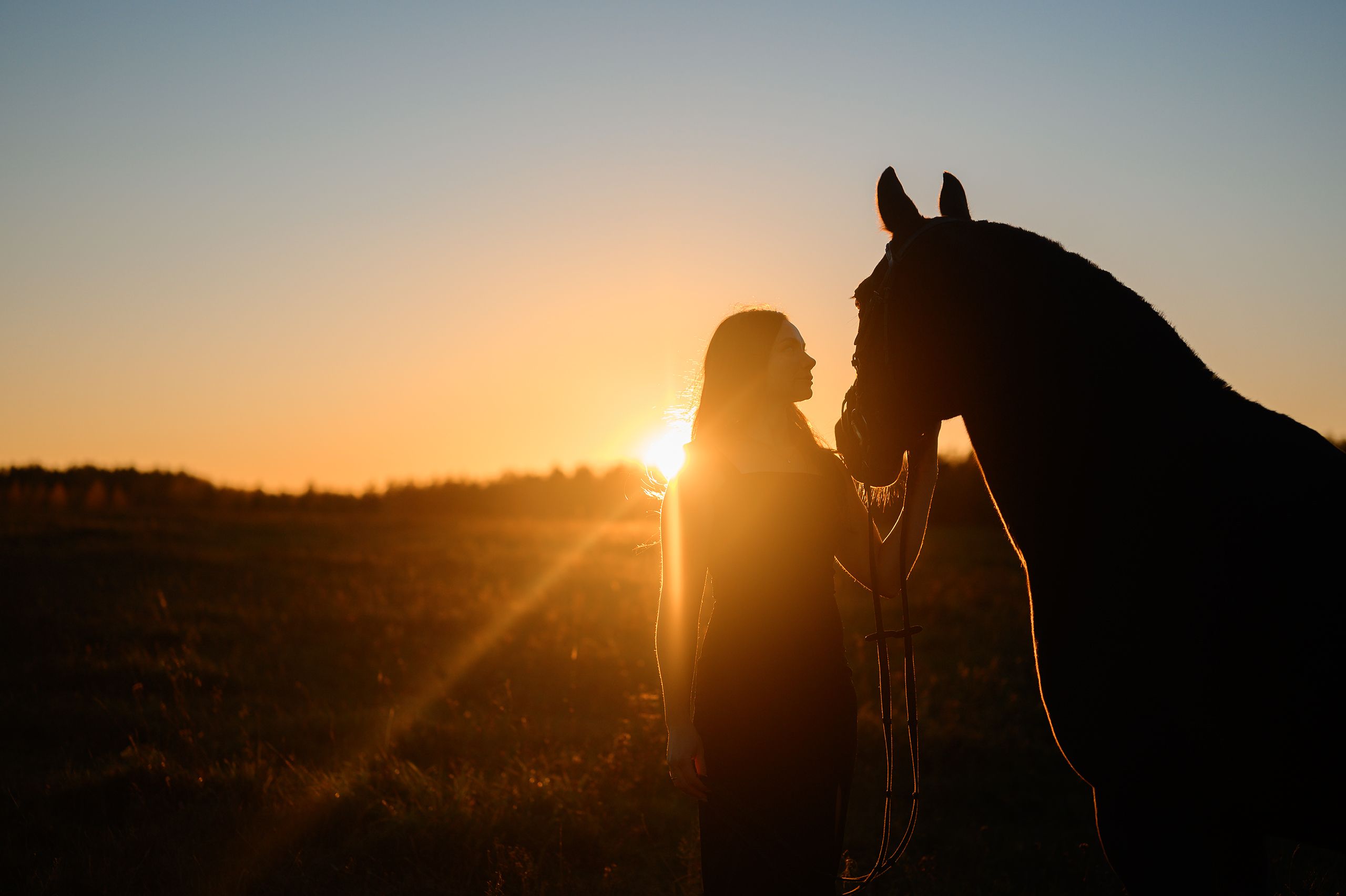 лошадь, девушка, закат, портрет, солнце, конь, Лутовкин Артём