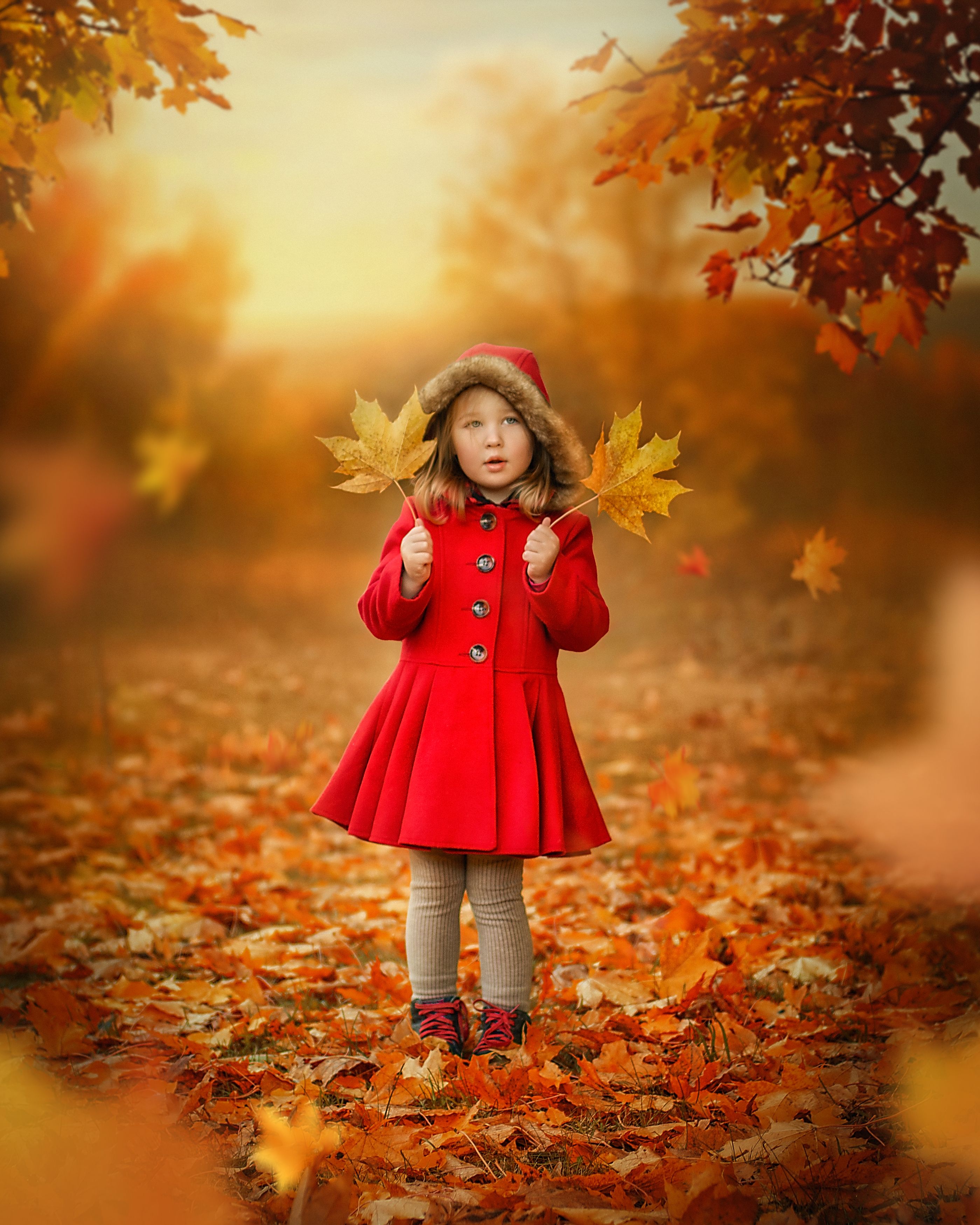 дети осень ребенок листья солнце красное пальто, Анастасия Борисова