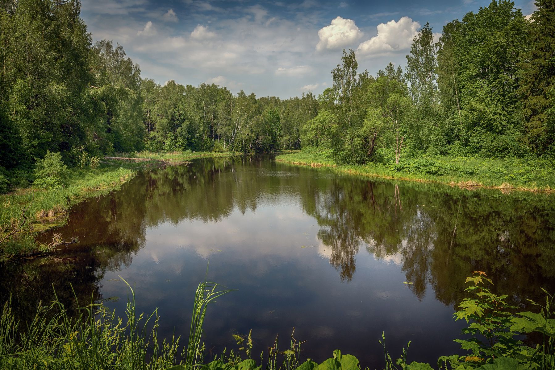 река, лето, июнь, лес, штиль, Сергей Аникин