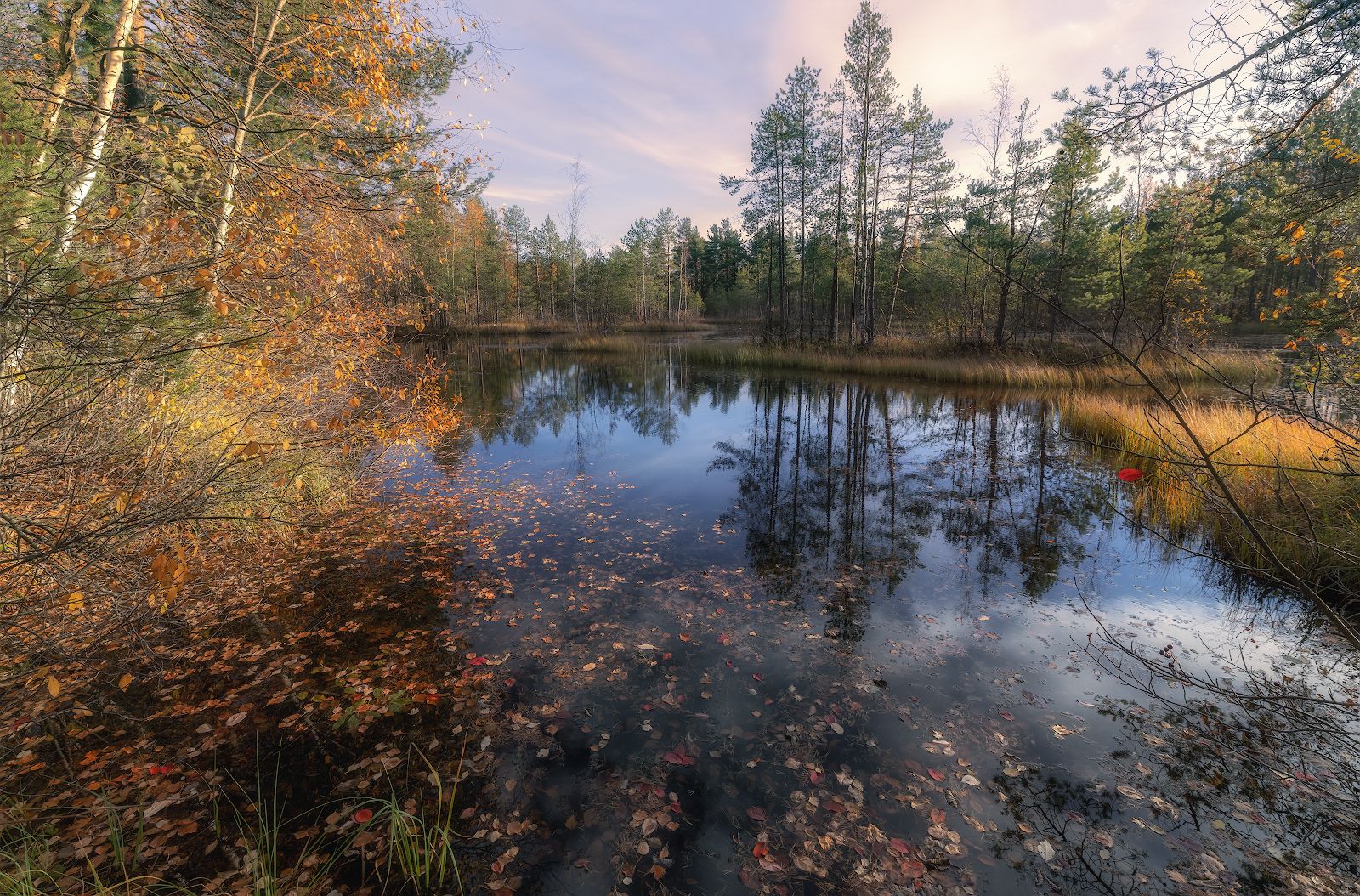 отражение болото осень листопад небо октябрь вода закат, Скороходов Константин
