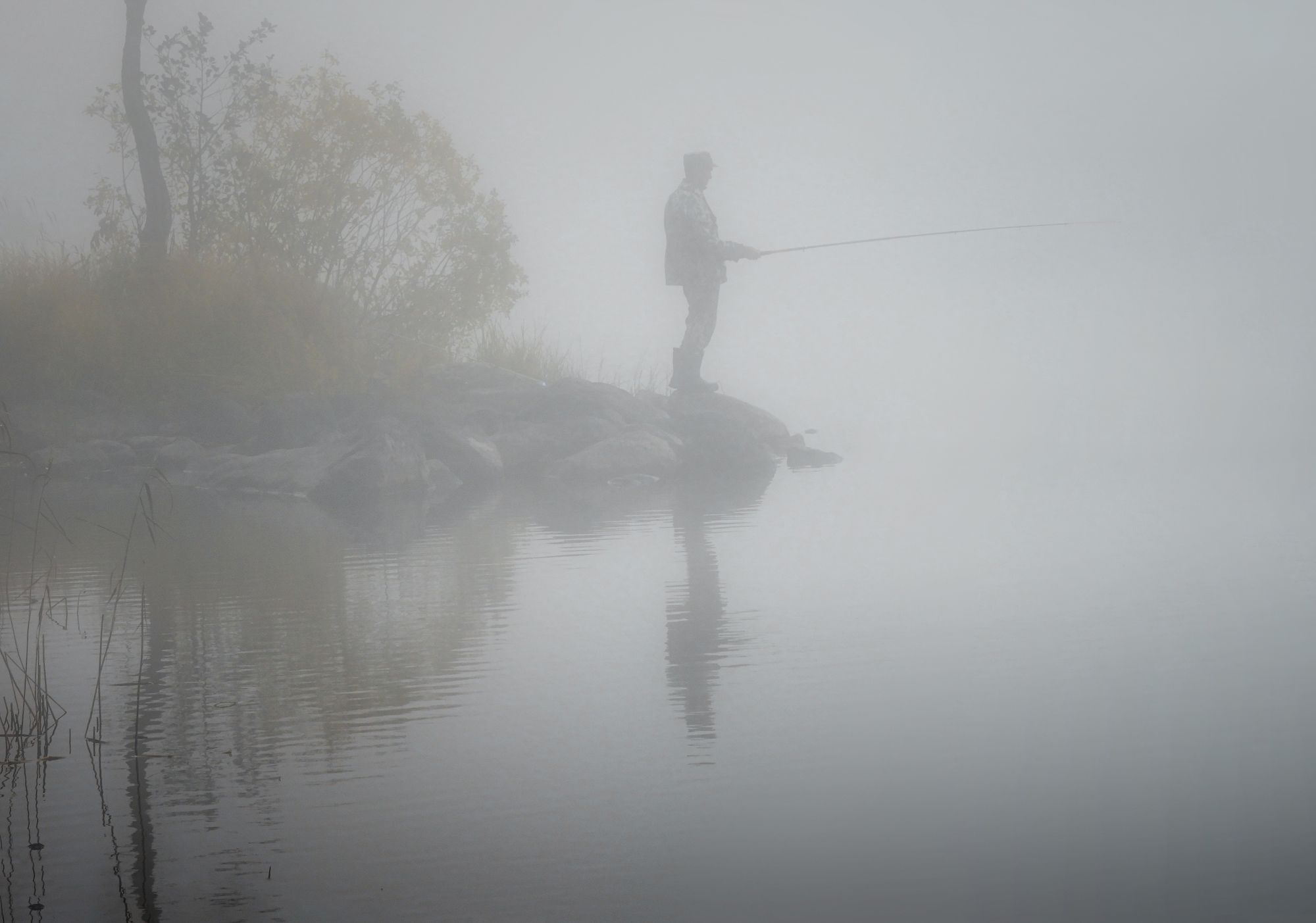 рыбак туман озеро, Вера Петри