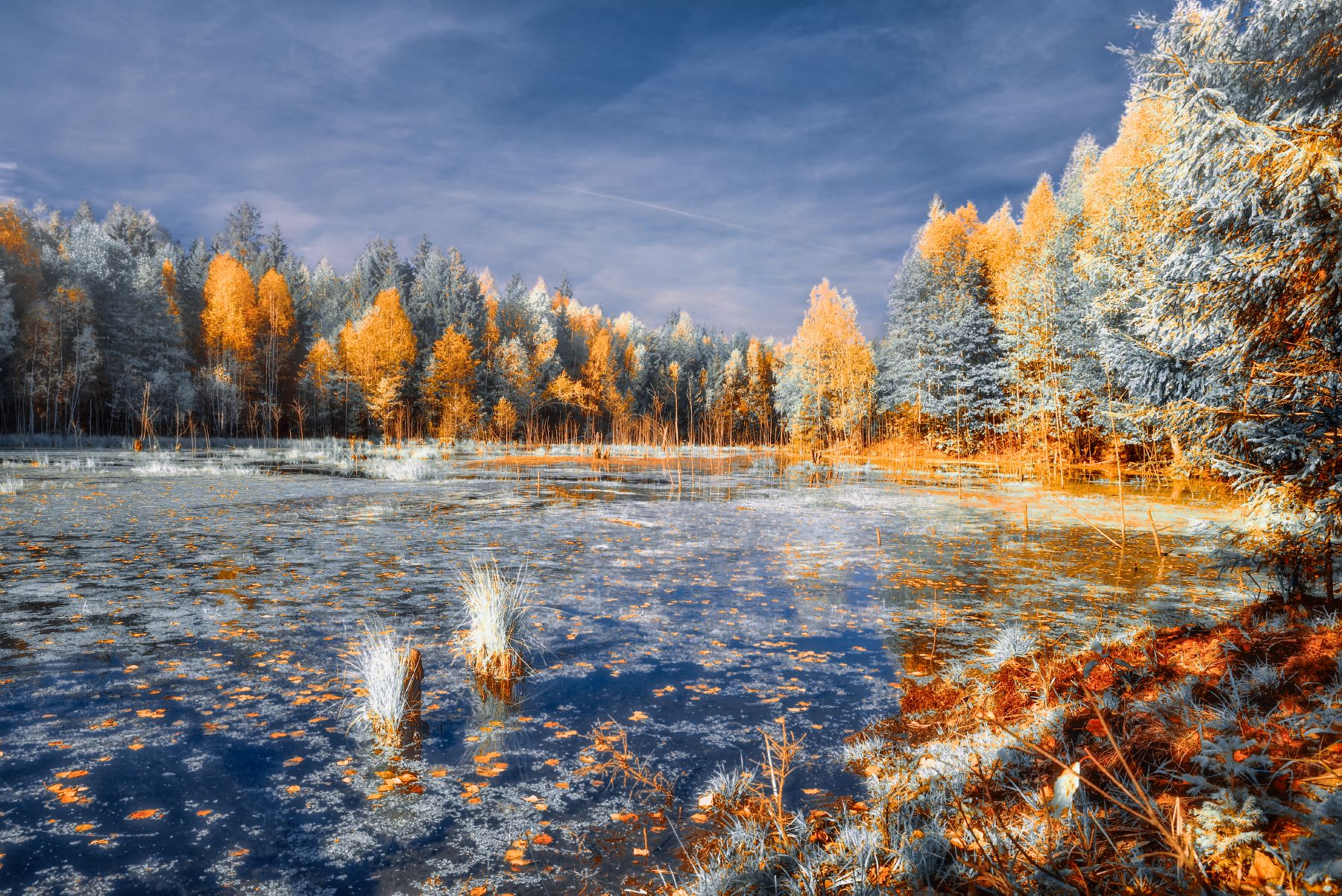 осень, лес, озеро, берег, небо, краски, Виталий Полуэктов