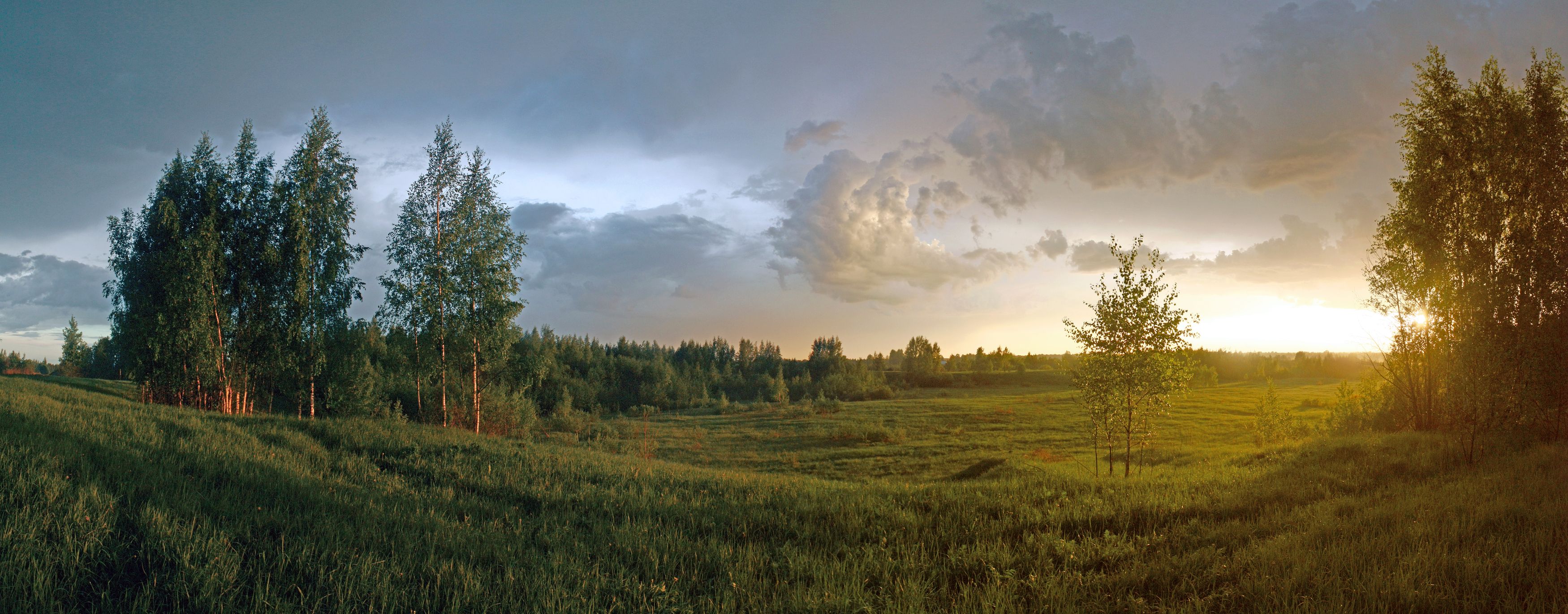 тучи , солнце , поле , лес, Александр Свистков