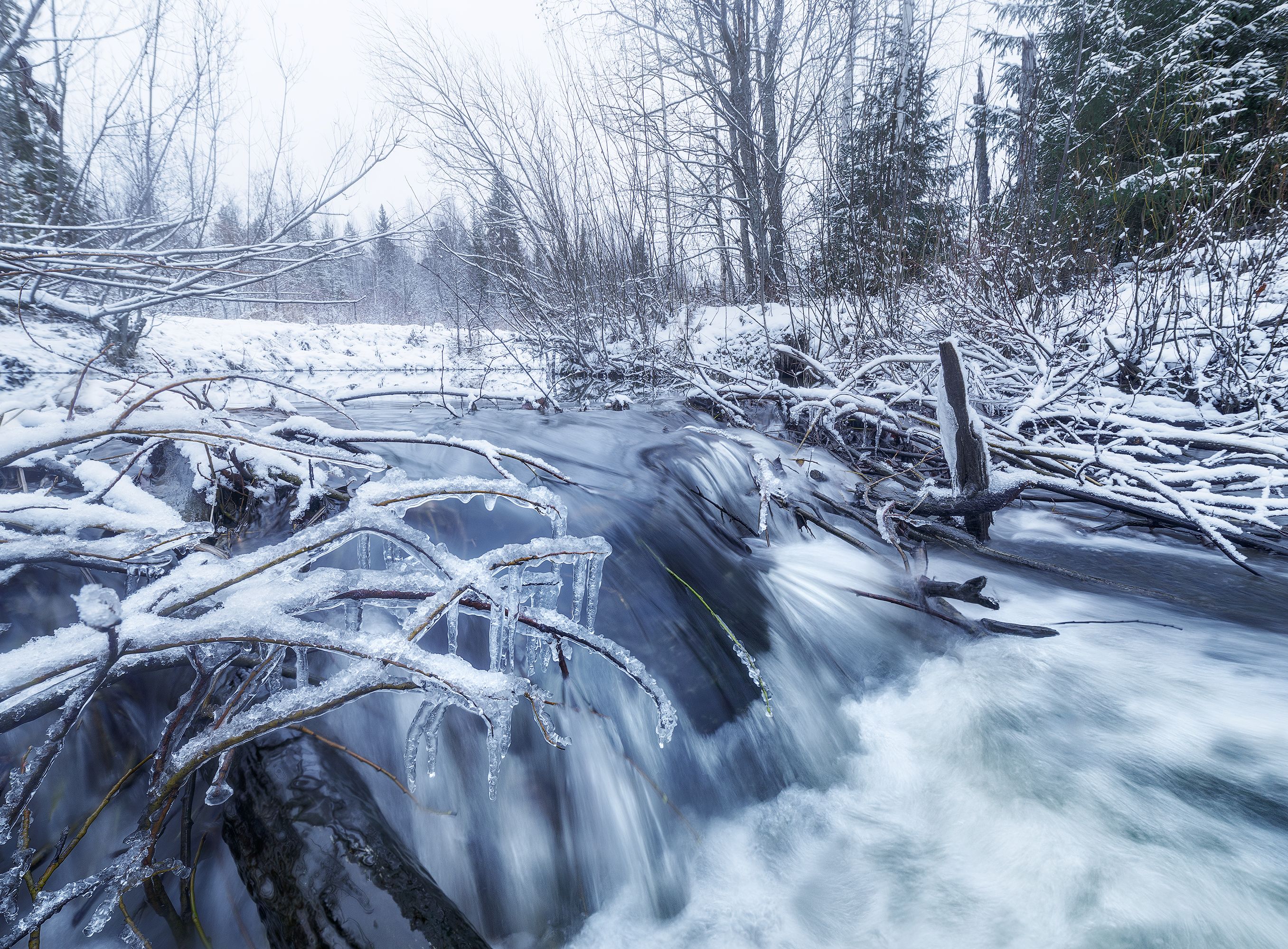 ручей, зима, снег, лёд, сосульки, вода, лес, пейзаж, landscape, snow, winter, water, stream, ice, forest, trees, taiga, тайга, Иван Чаланов