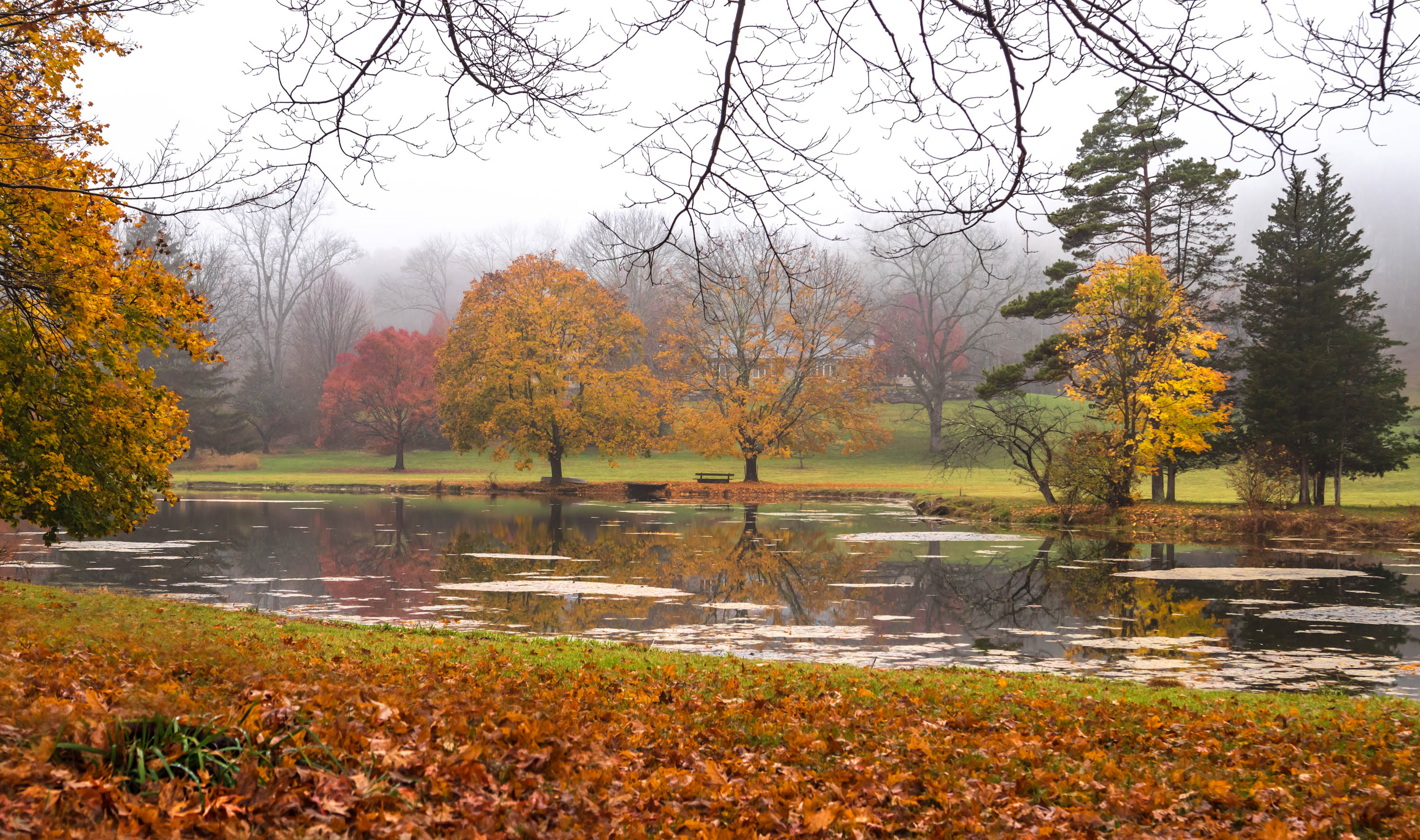 природа,осень,пейзаж,деревья,отражения,озеро,вода,листья,туман,, Антонина Яновска