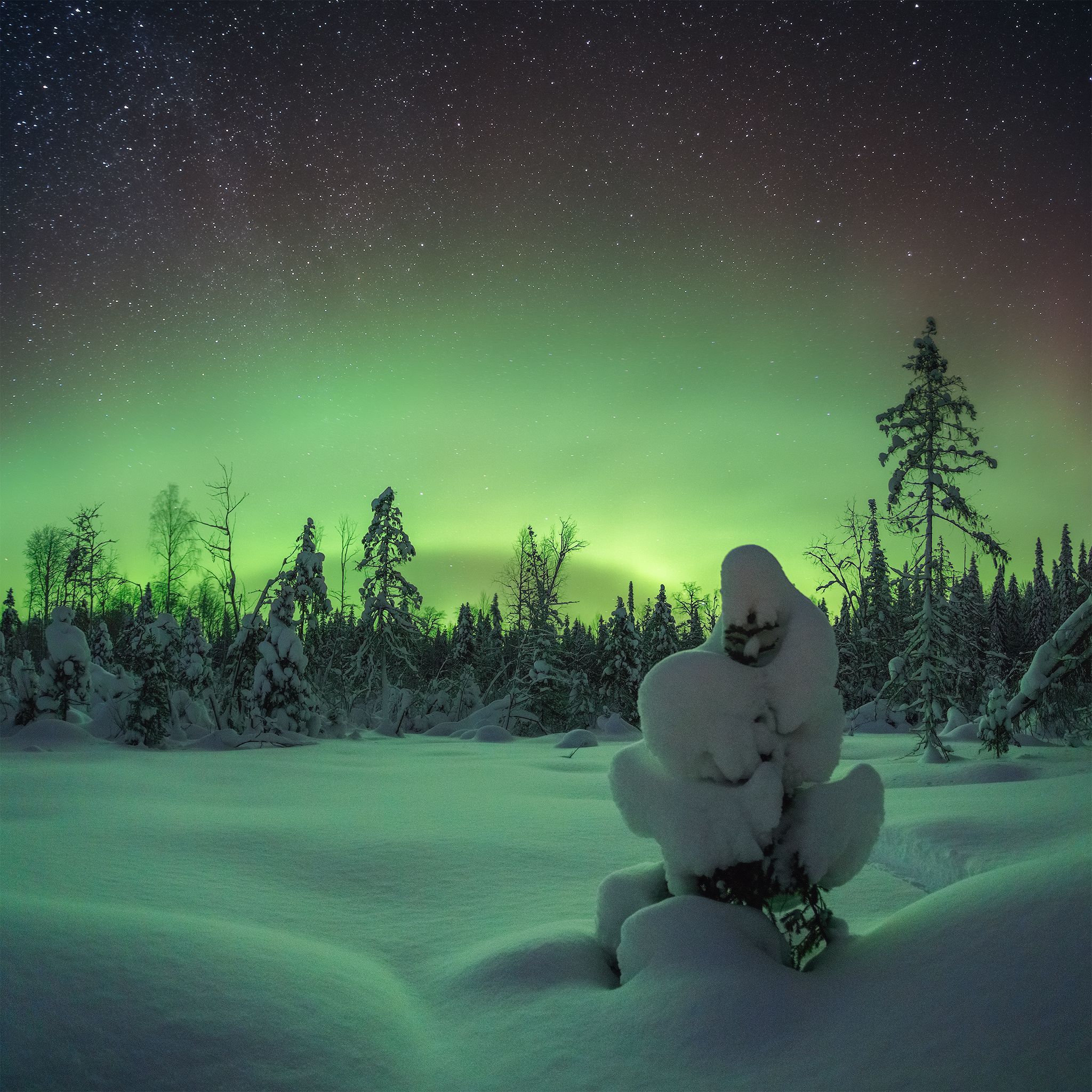 Северное сияние в Коми парме. Фотограф Иван Чаланов