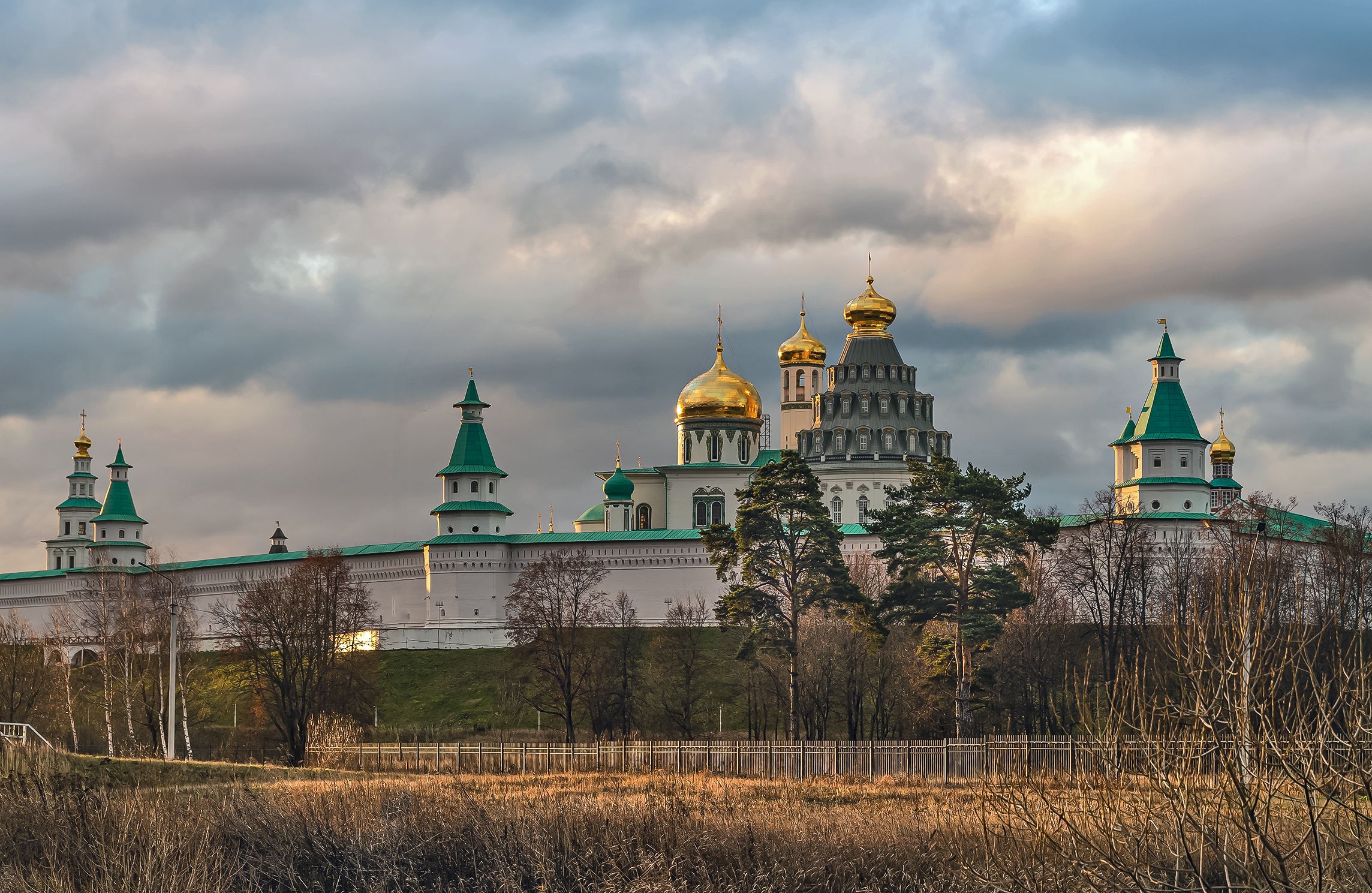 истра. новый иерусалим., Бирюков Вячеслав