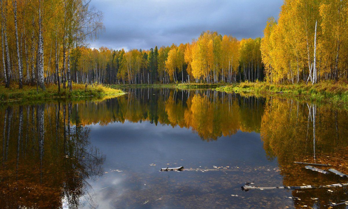золотая осень, октябрь, непогода, небо, тучи, озеро, отражение, природа, пейзаж, i.s.*