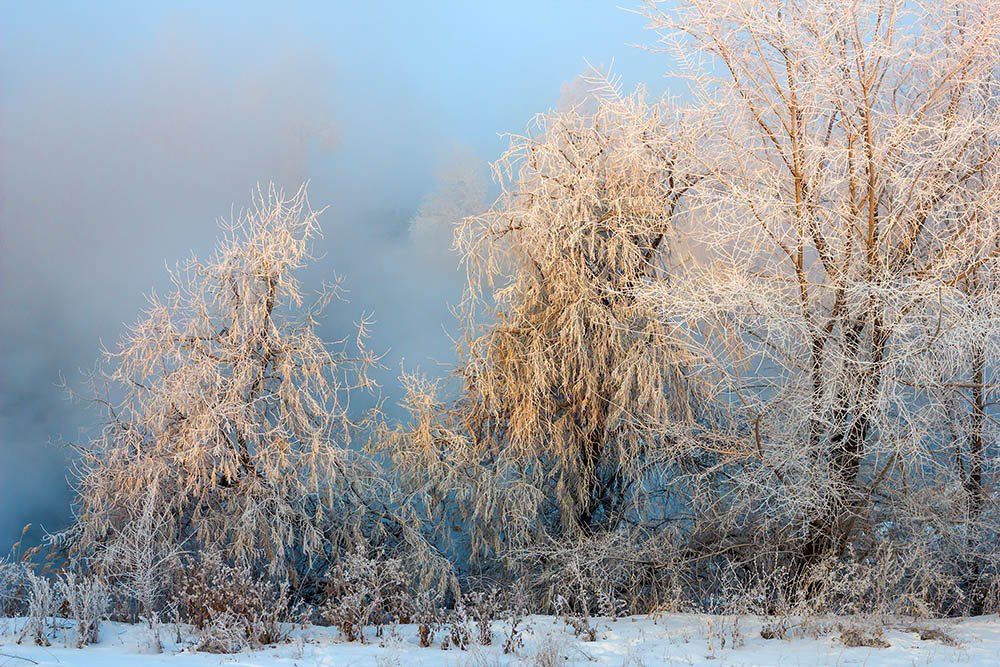 Природа пейзаж зима, Александр Кожухов