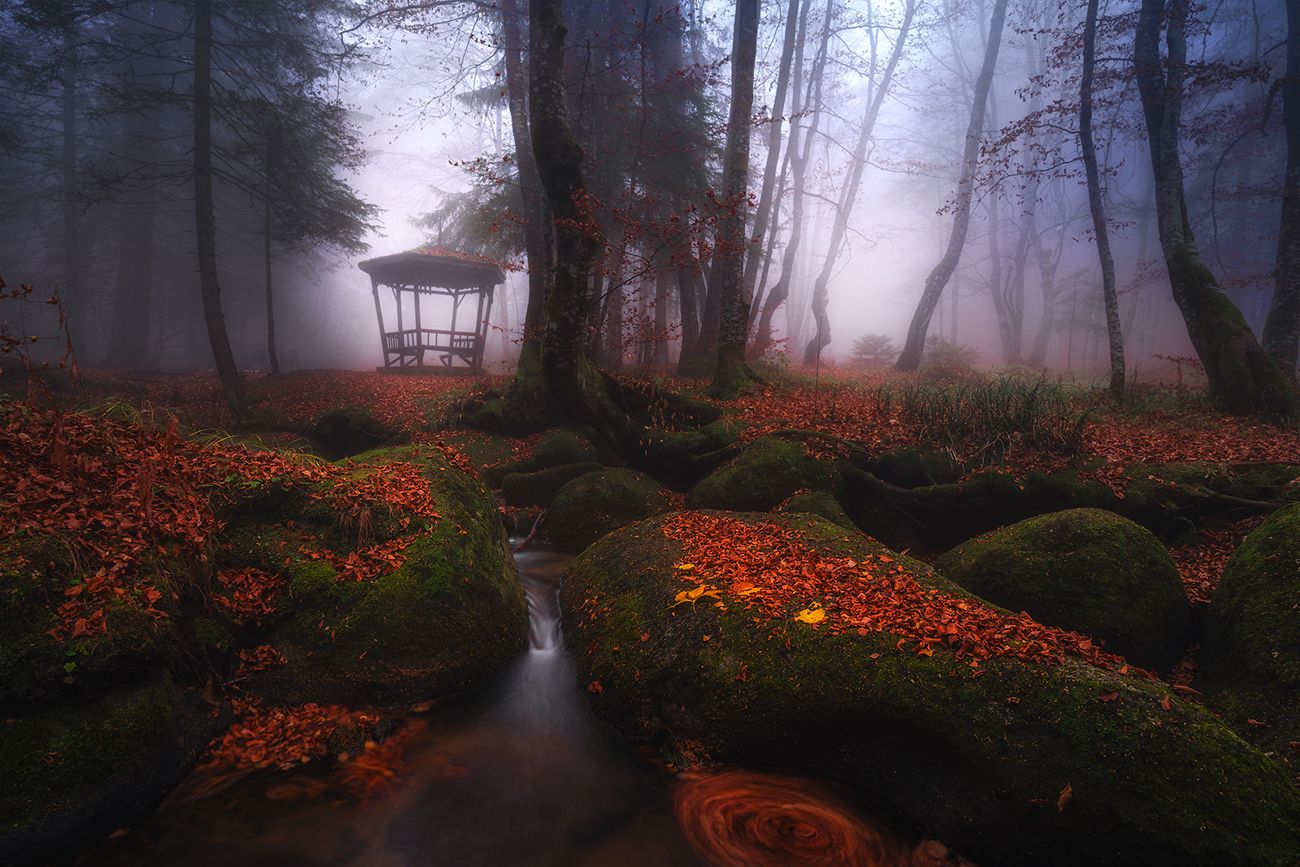 landscape, nature, scenery, forest, wood, autumn, mist, misty, fog, foggy, river, longexposure, mountain, rocks, vitosha, bulgaria, туман, лес, oсень, Александър Александров