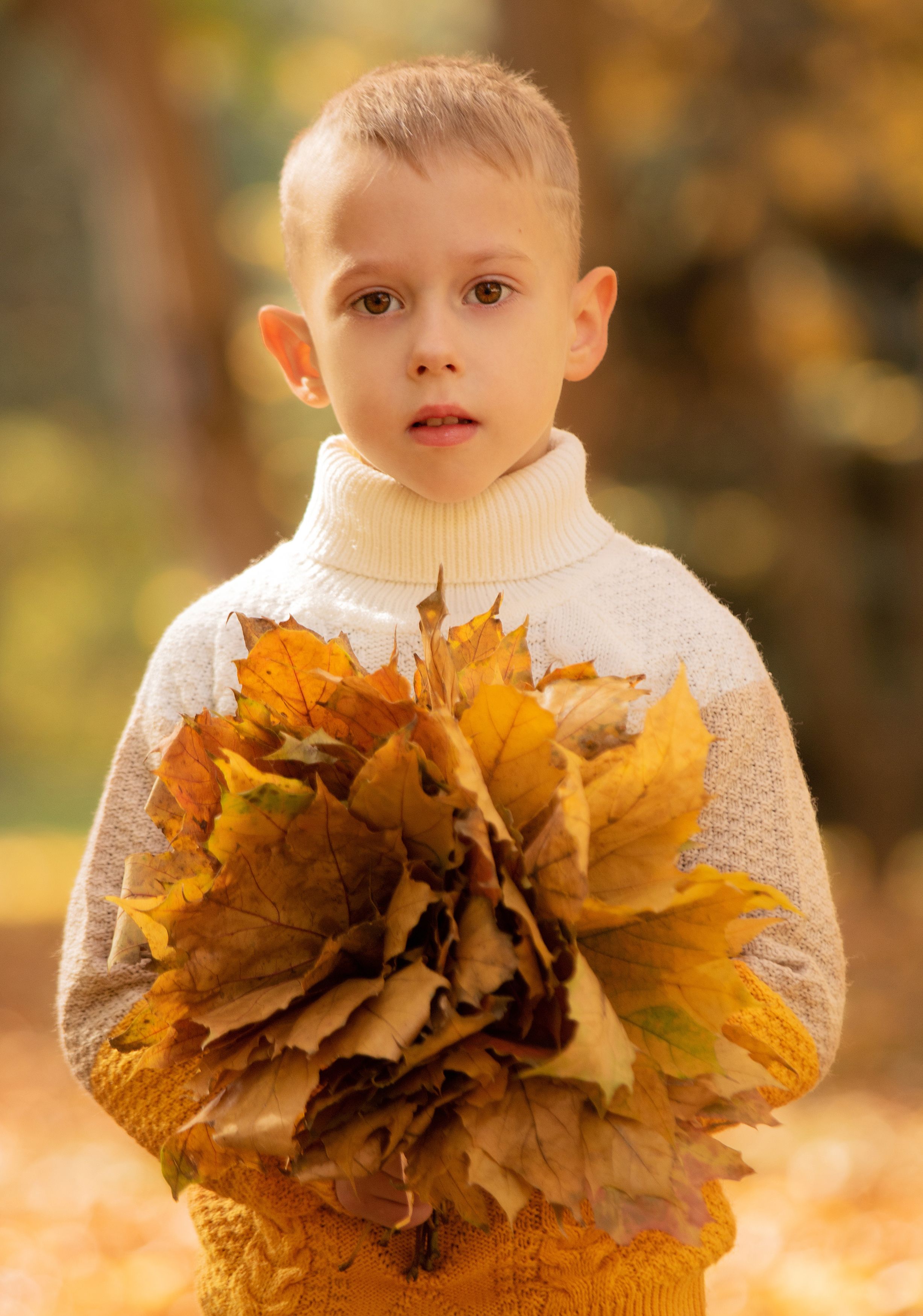 осень, портрет,дети,мальчик,листья,букет, Александр Замятин