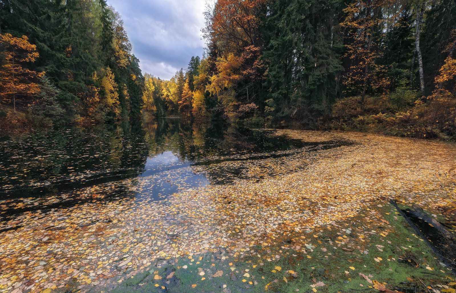 осень октябрь павловск вечер отражение листья небо река, Скороходов Константин