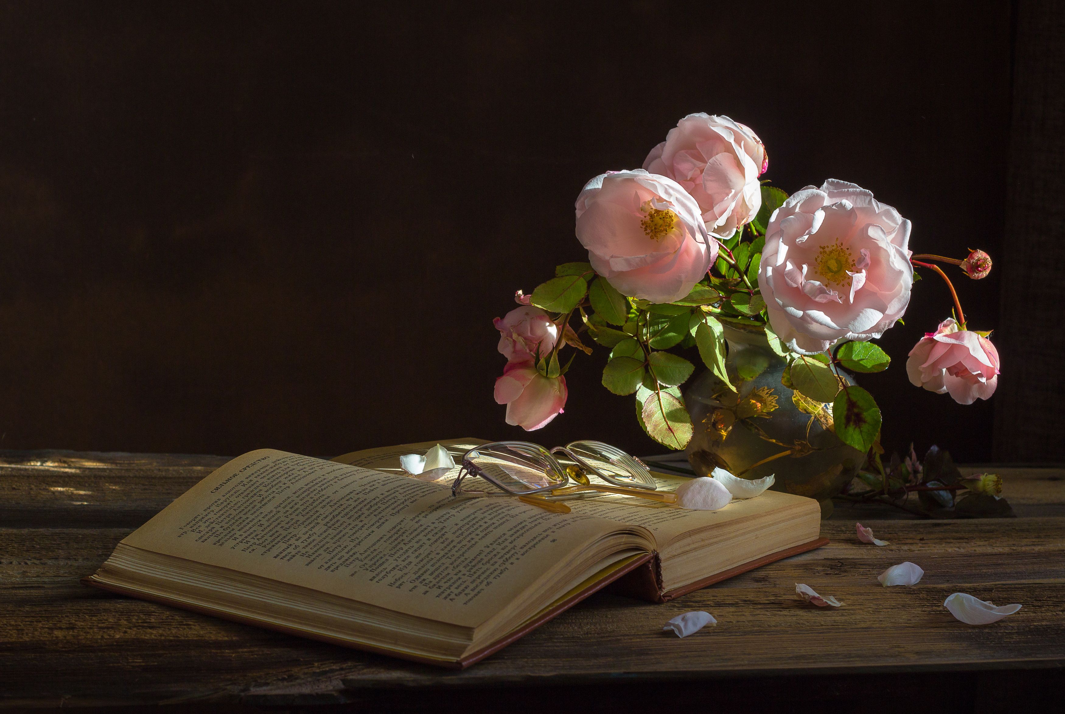 розы, книга, очки, чтение, цветы, Elena Hvojnova