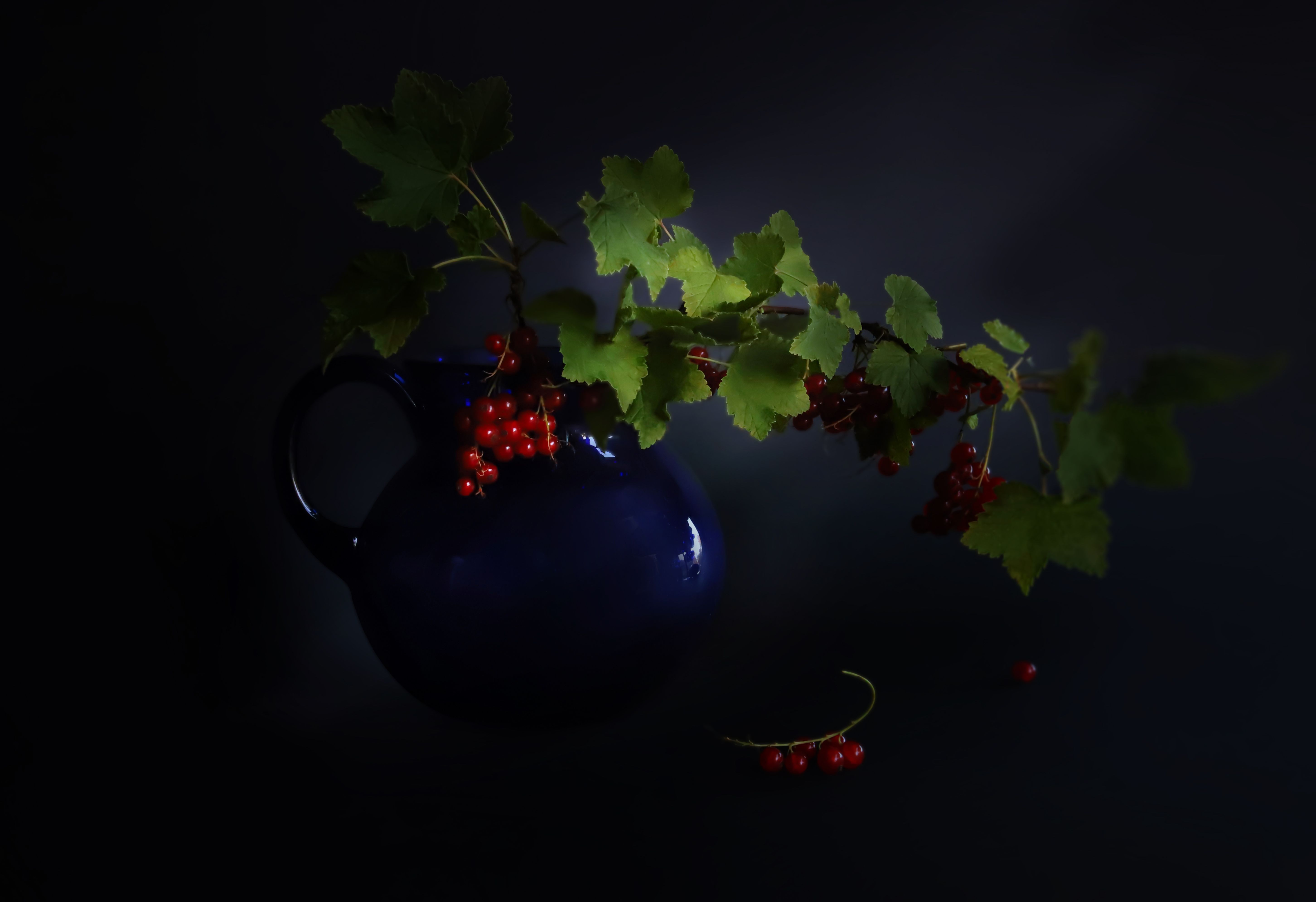 red, berries,  a blue vase,  black background, DZINTRA REGINA JANSONE