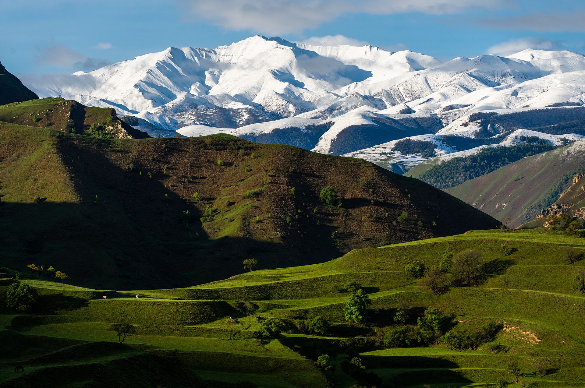 kaukasus, dagestan, horses, mountains, landscape, terrasses, Maria Pochikaeva