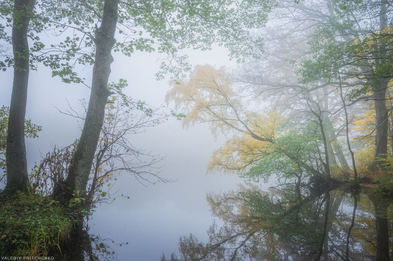 осень, пейзаж, утро, туман, природа, nature, autumn, landscape, morning, calm, tree, lake, Валерий Притченко