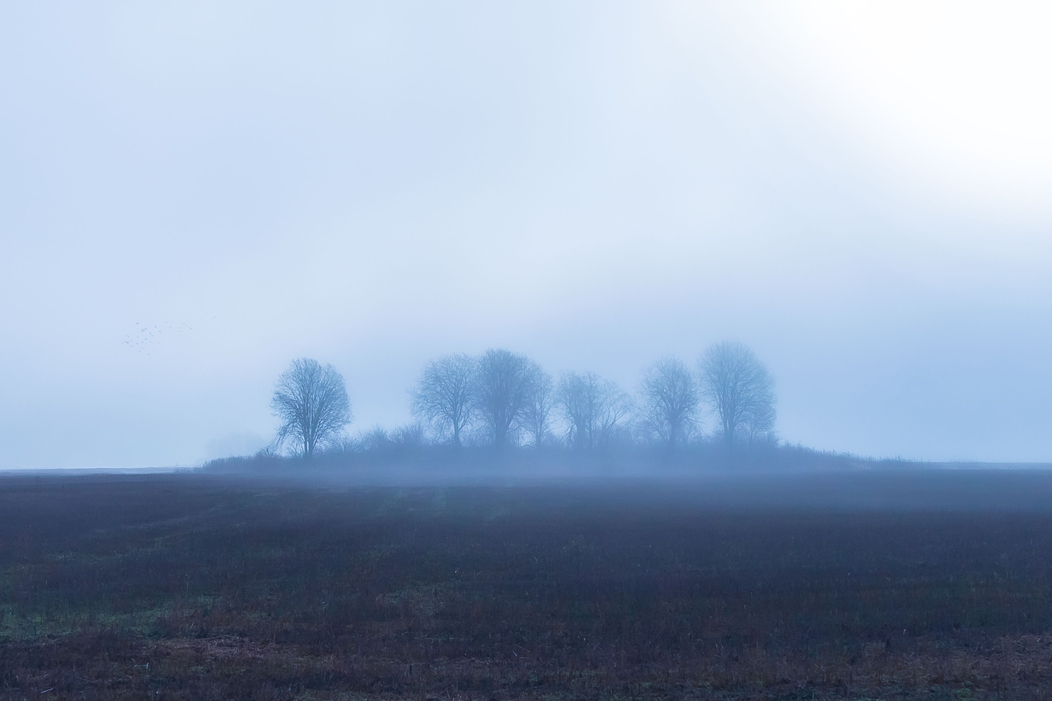 пейзаж, осень, утро, туман, Игнатьев Александр