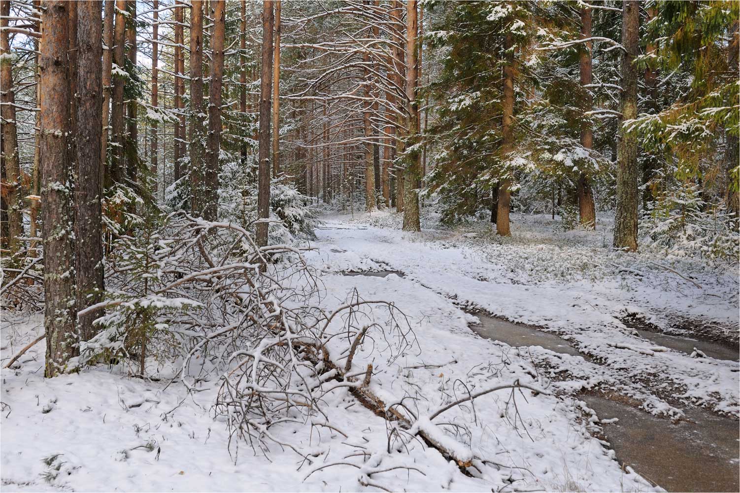 Зимний Ноябрьск.