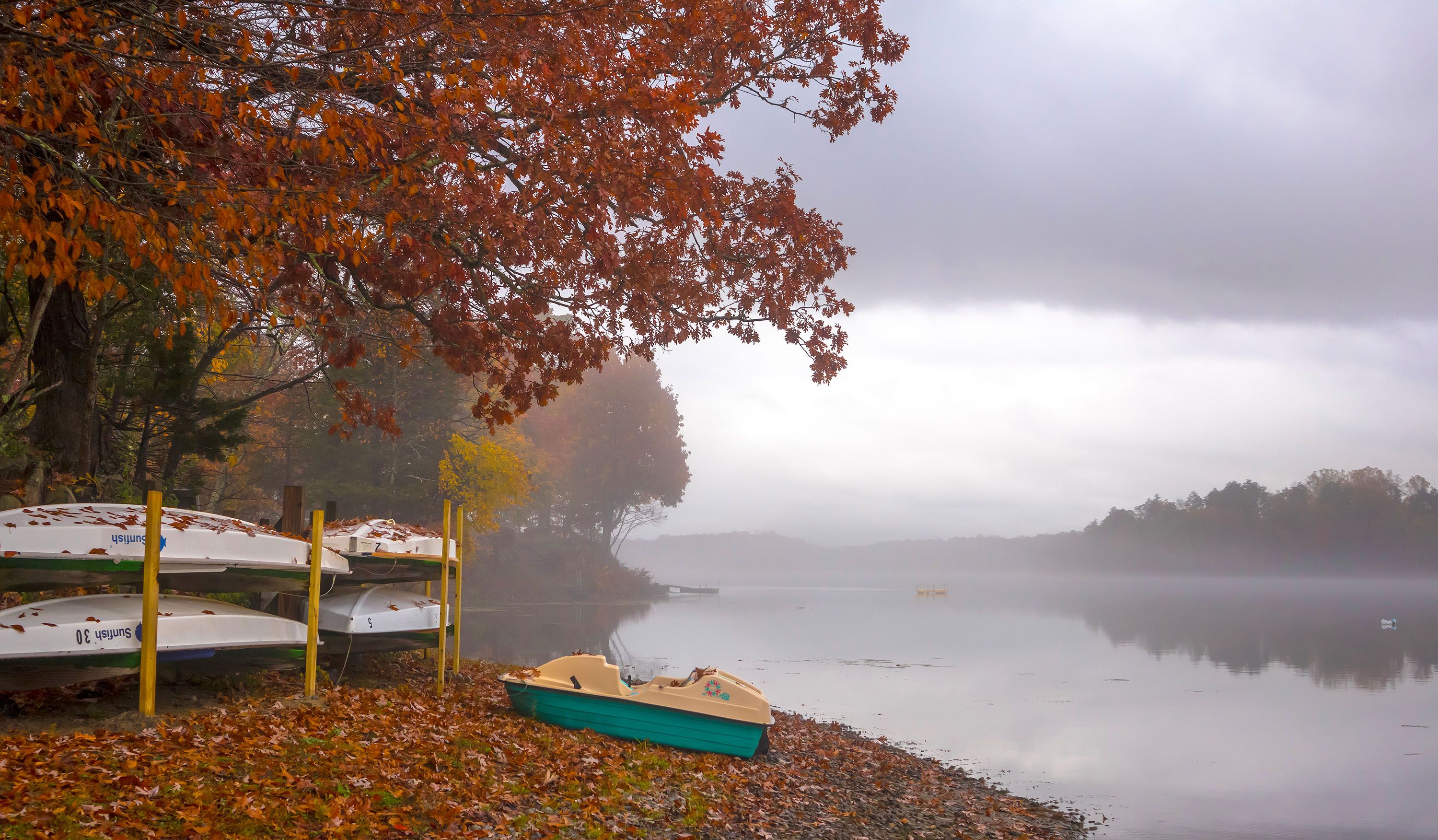 природа,осень,пейзаж,деревья,отражения,озеро,вода,листья, туман,, Антонина Яновска