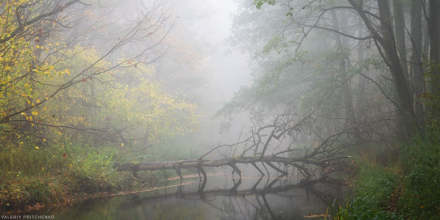 осень, природа, пейзаж, туман, landscape, autumn, nature, Валерий Притченко