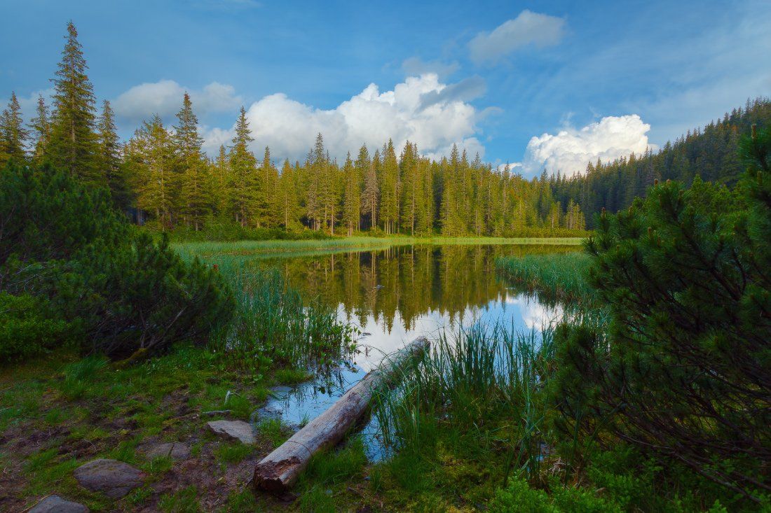 , Ярослав Тюрменко (Jaremi)