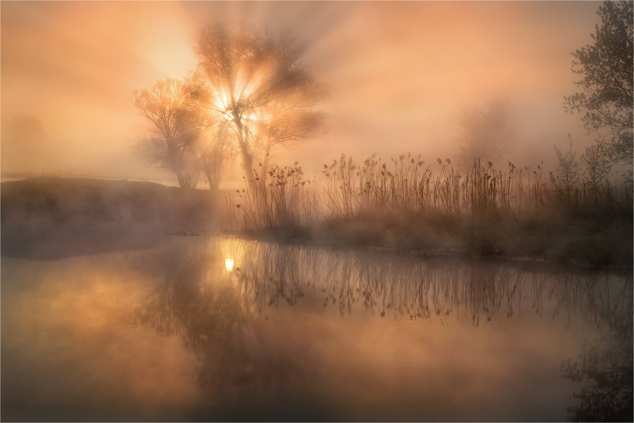 утро, пейзаж, лучи, туман, река, камыш, отражения, Александр Киценко