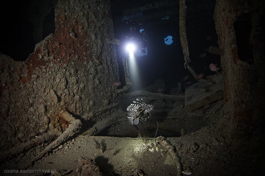 wreck sea underwater lionfish light, Оксана Каменская