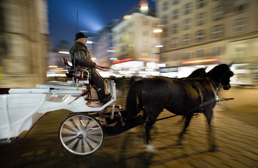 City, Coachman, Horse, Horses, Life, Night, Nightlife, Tradition, Travel, Vienna, Budimir Jevtic