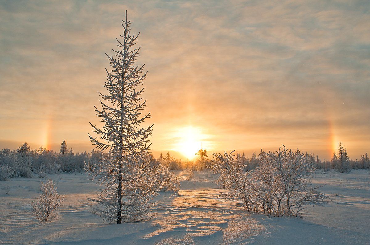 гало, солнце, зима, север, Андрей Снегирёв
