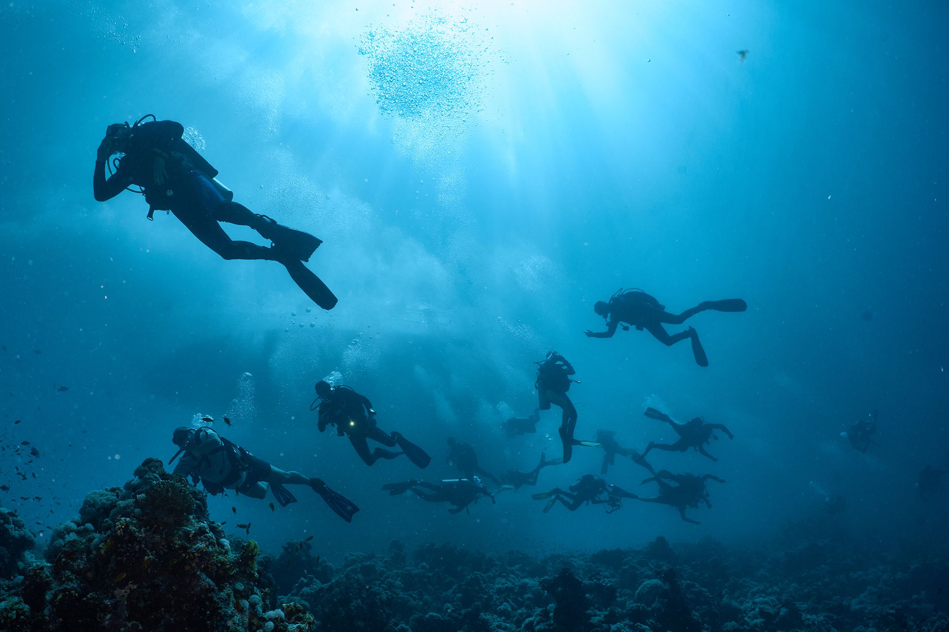 подводный мир, дайвинг, коралловый риф, рыбы, красное море, мурена, дайверы, Pavel Perepechaev