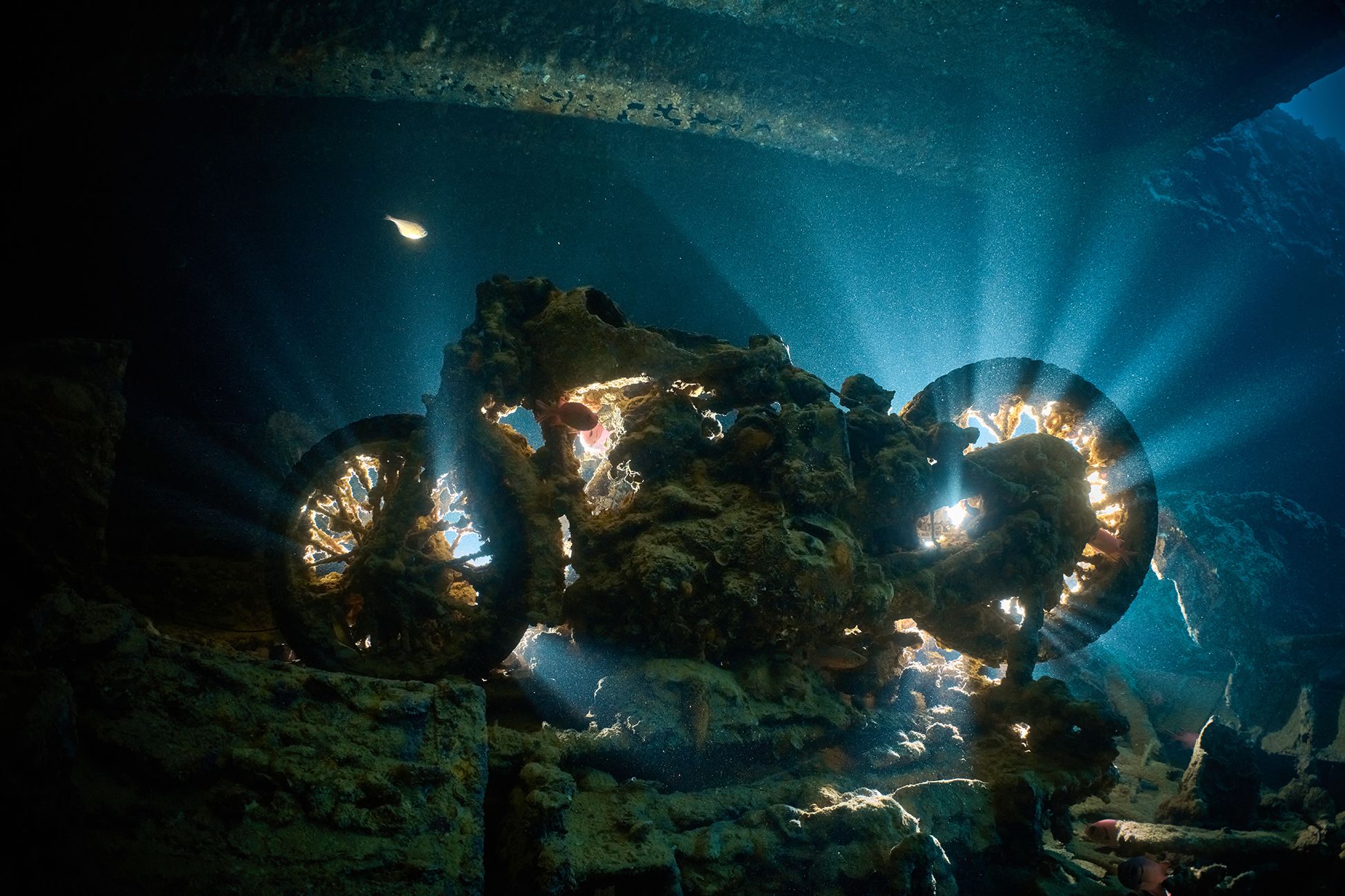 подводный мир, дайвинг, подводная съемка, тистлигорм, мотоцикл, рэк, Перепечаев Павел