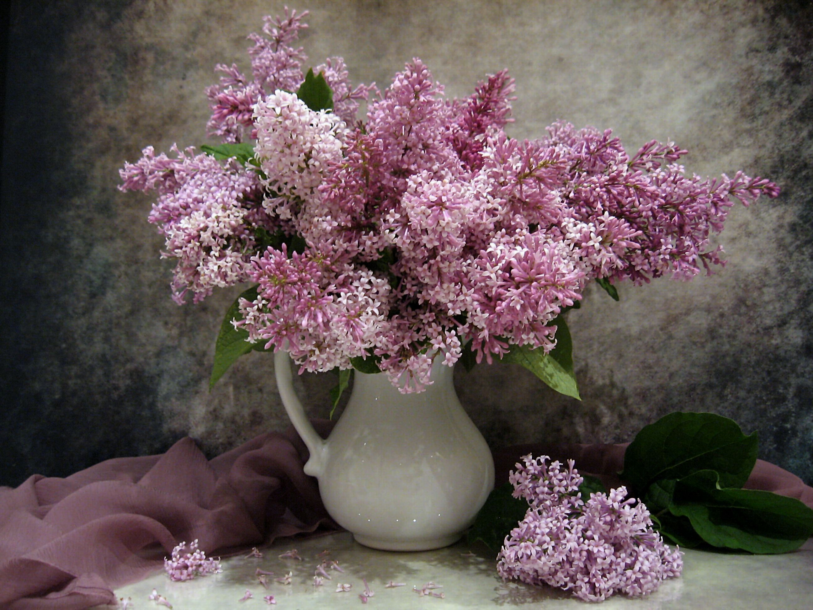 цветы, букет, сирень, шарф, сиреневый цвет, Наталия Тихомирова