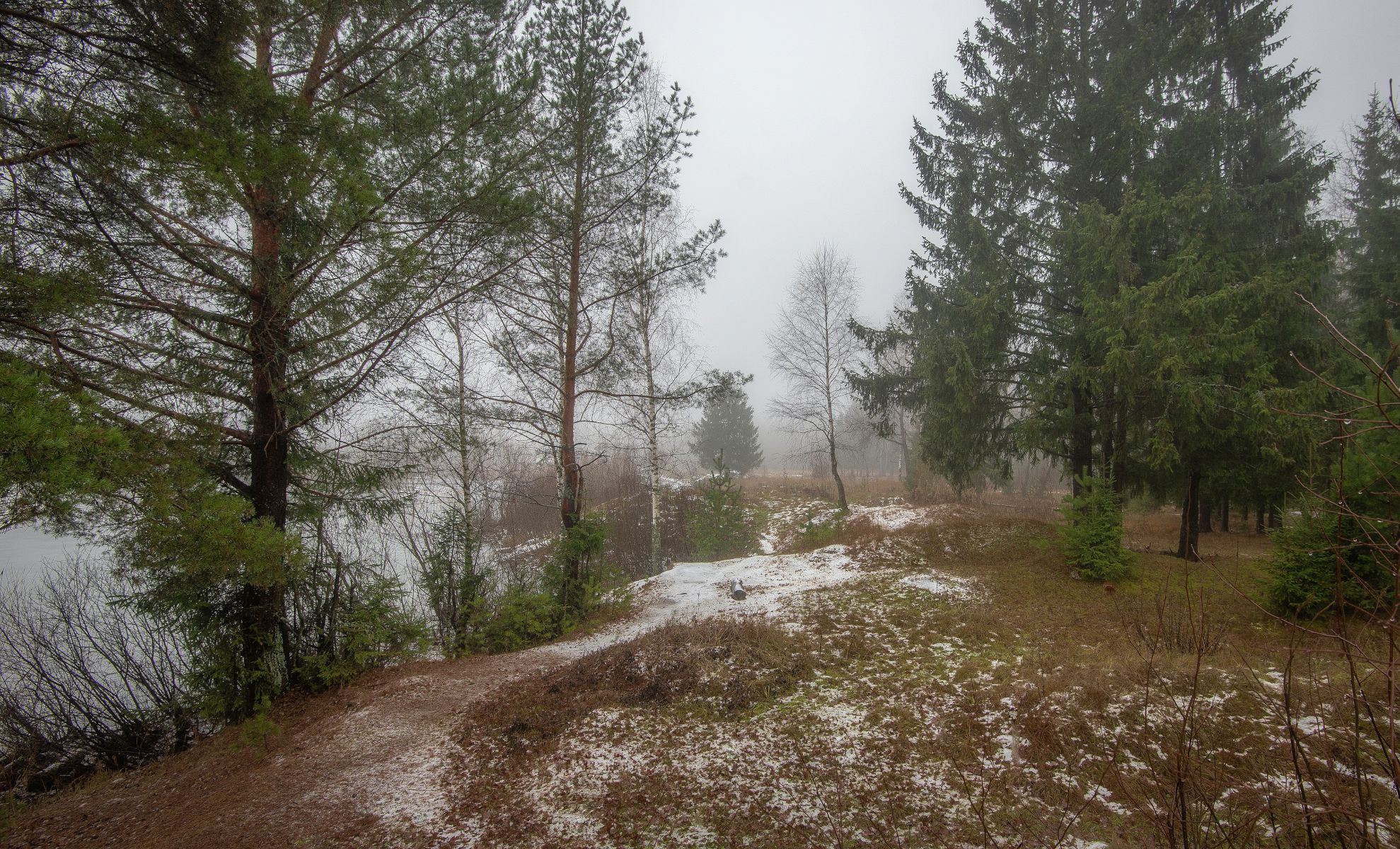 Лес , опушка, туман, осень, Сергей Аникин