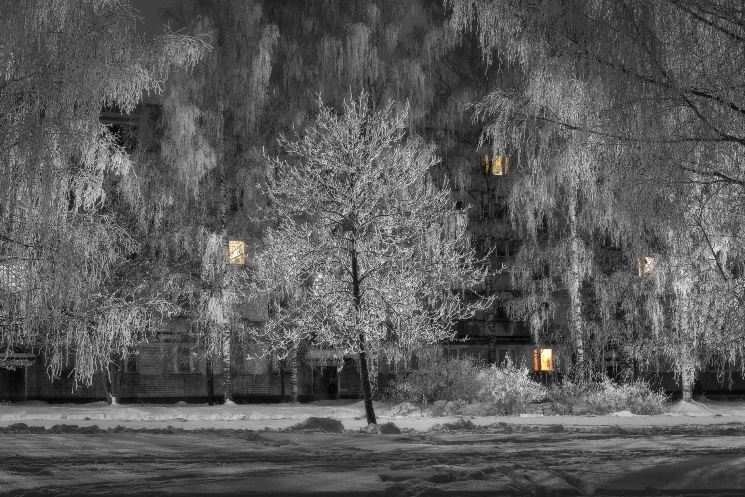 зима городок ночь снег березы, Сергей Буторин
