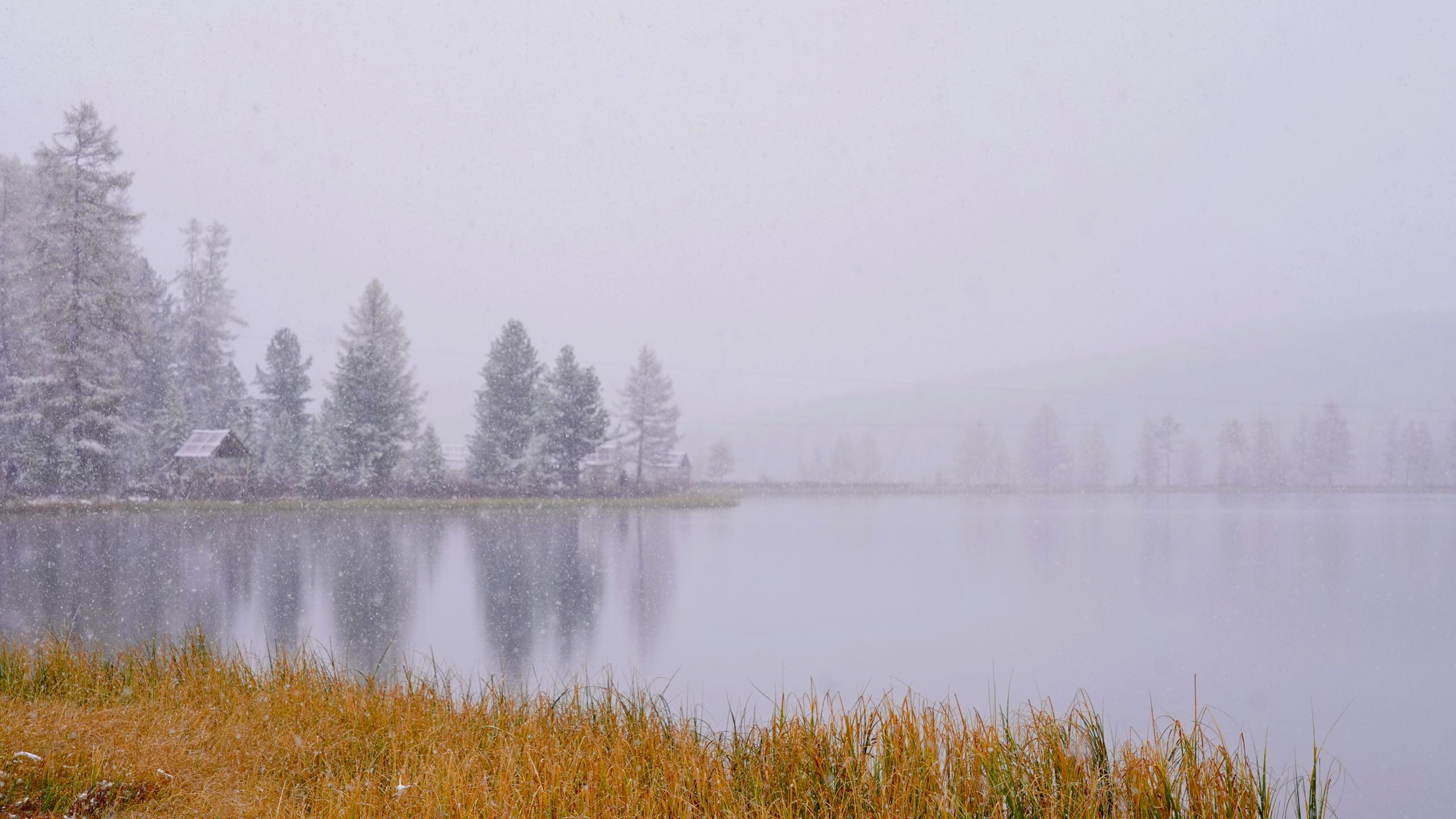 Киделю, озеро, отражение, лиственницы, Алтай, Россия, Andrey Politov