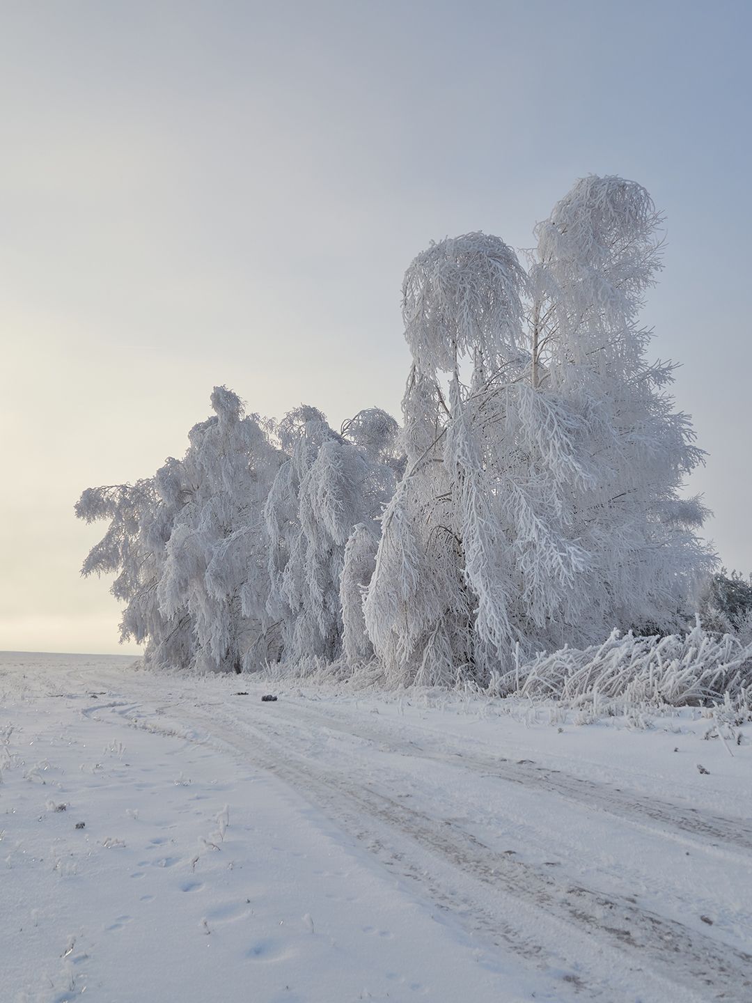 , Сергей Калёв