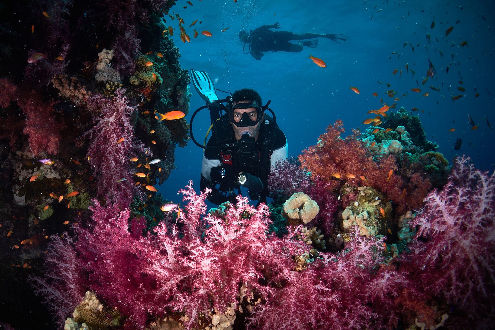 подводная фотосъемка, коралловый риф, рыбы, тропические рыбки, дайвинг, море, дайвер, PAVEL PEREPECHAEV