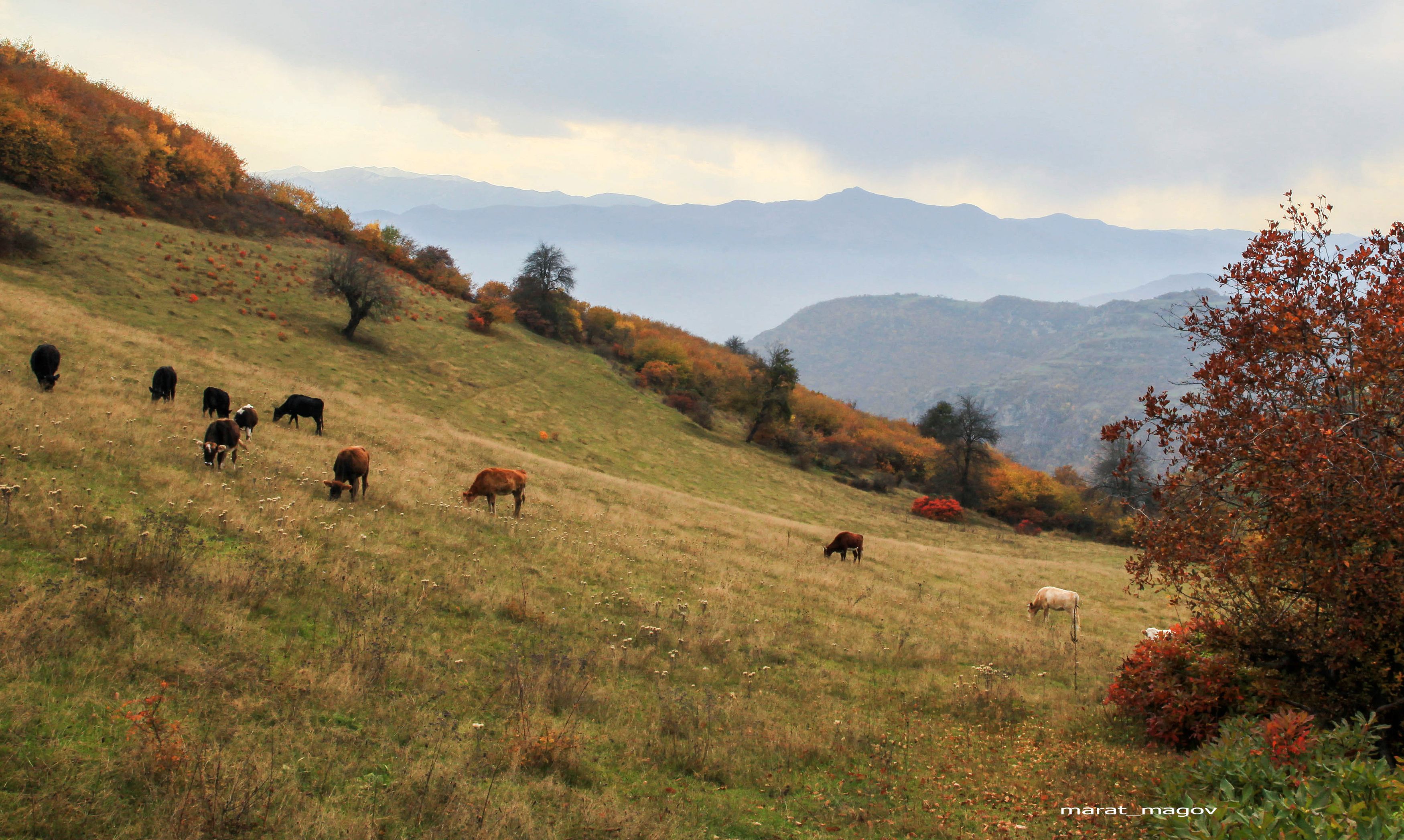 пейзаж,осень,горы,дагестан,, Magov Marat