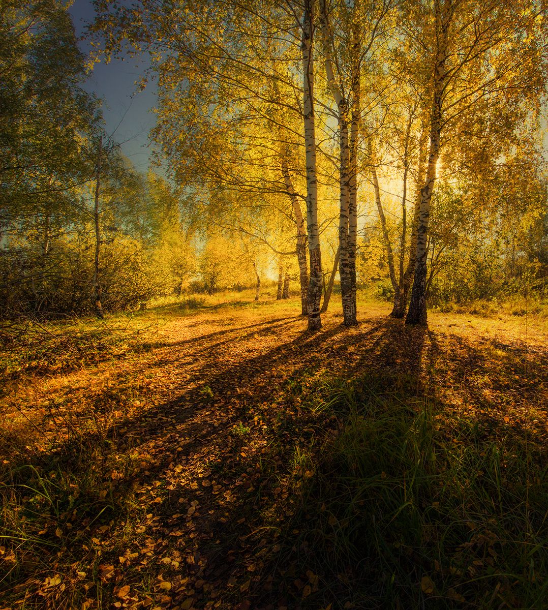 пейзаж, осень, кострома, костромская область, Елена Рубинская