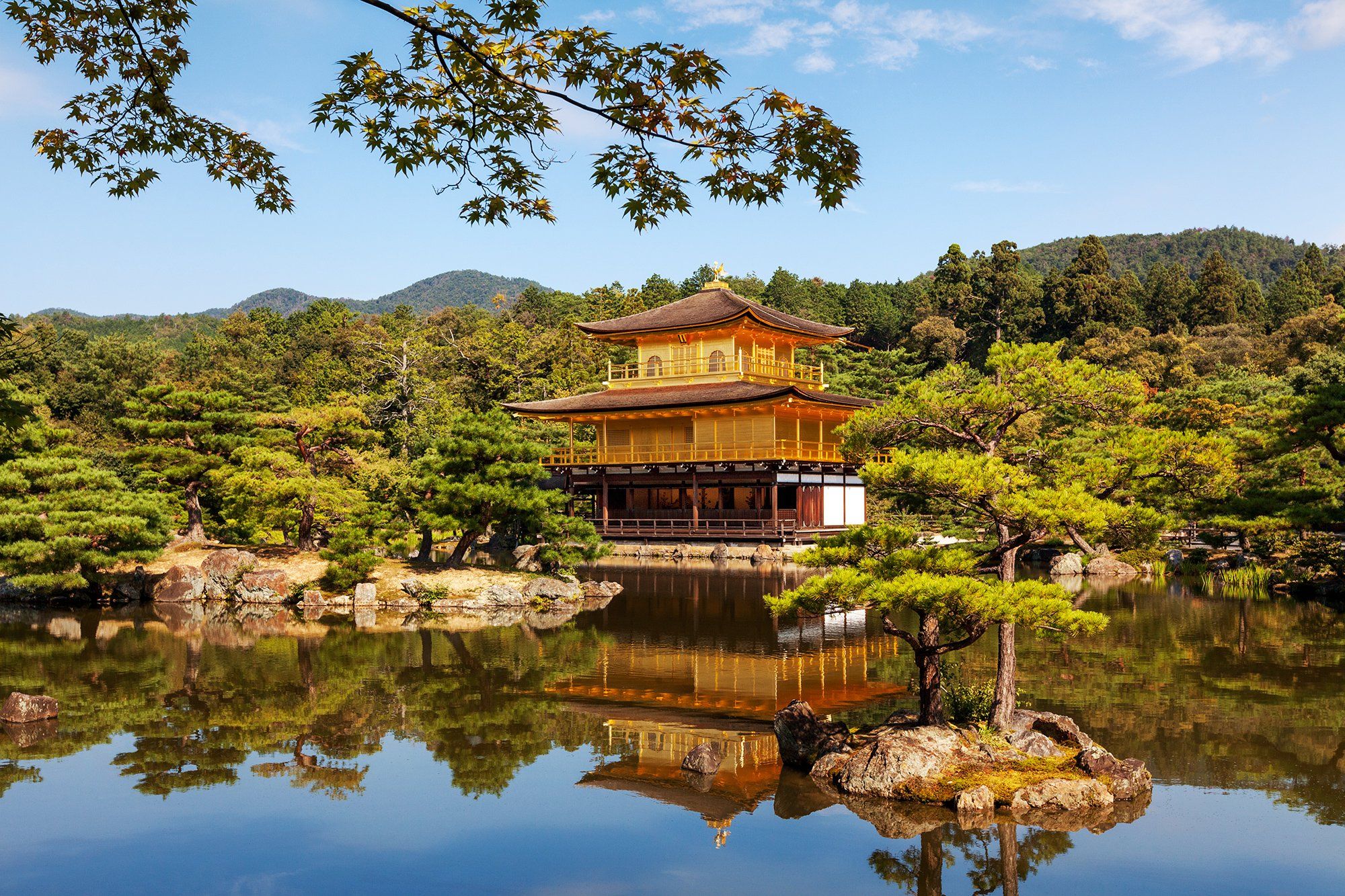 Япония, Киото, Азия, пруд, отражение, природа, Дара Пилюгина