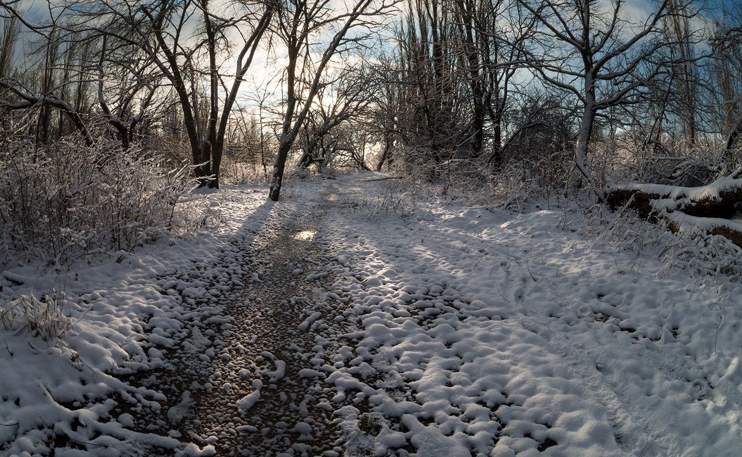 зима, свет, снег, солнце, тени, Alexander Plekhanov