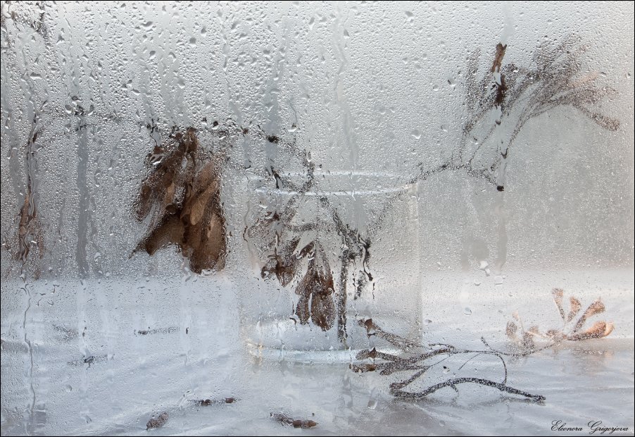 весна, дождь, зима, натюрморт, сезон, февраль, Eleonora Grigorjeva