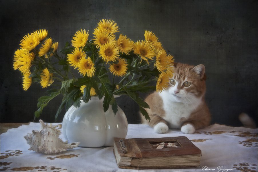 Жёлтые цветы, Натюркотики, Ракушка, Рыжая кошка, Eleonora Grigorjeva