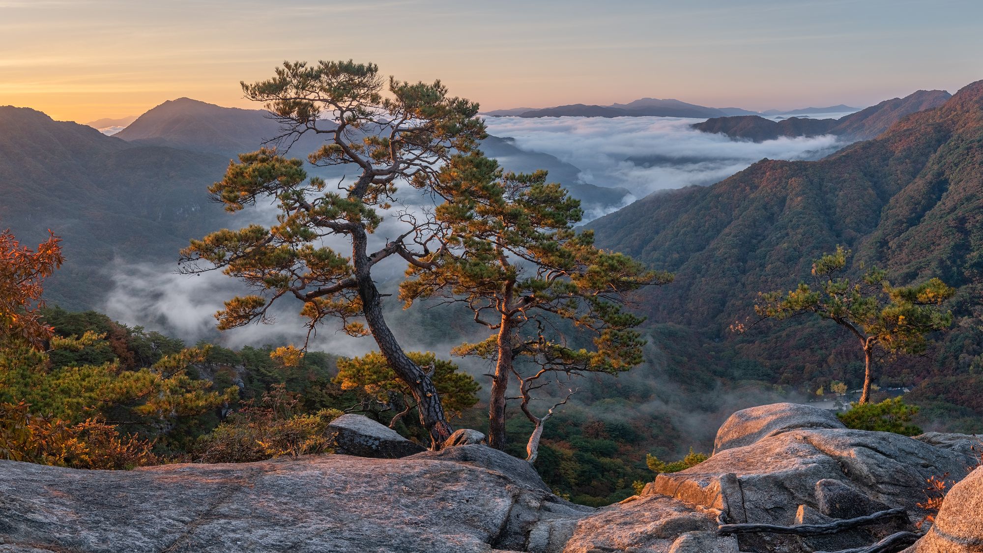 Jaeyoun Ryu фотограф