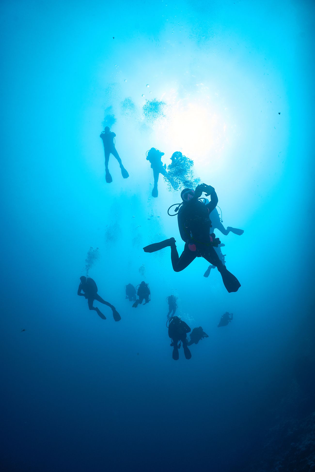 подводная фотосъемка, дайвинг, море, дайверы, PAVEL PEREPECHAEV