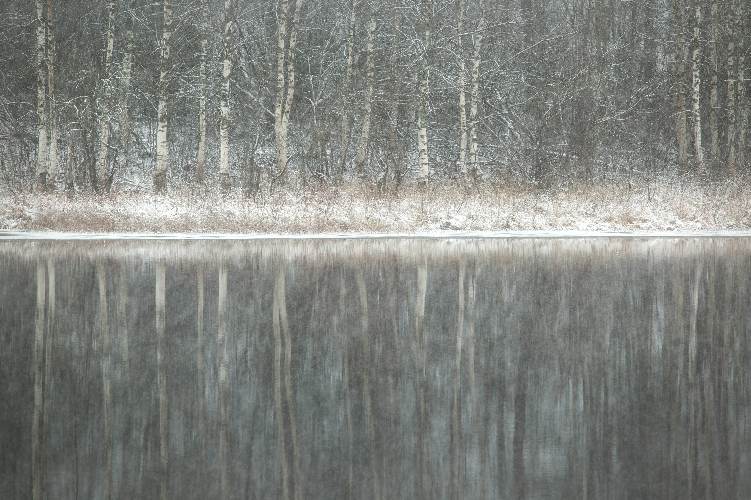 отражение, минимализм, зима, лес, озеро, карелия, березы, россия, природа, пейзаж ,первый снег, вепсский лес, Павел Ващенков