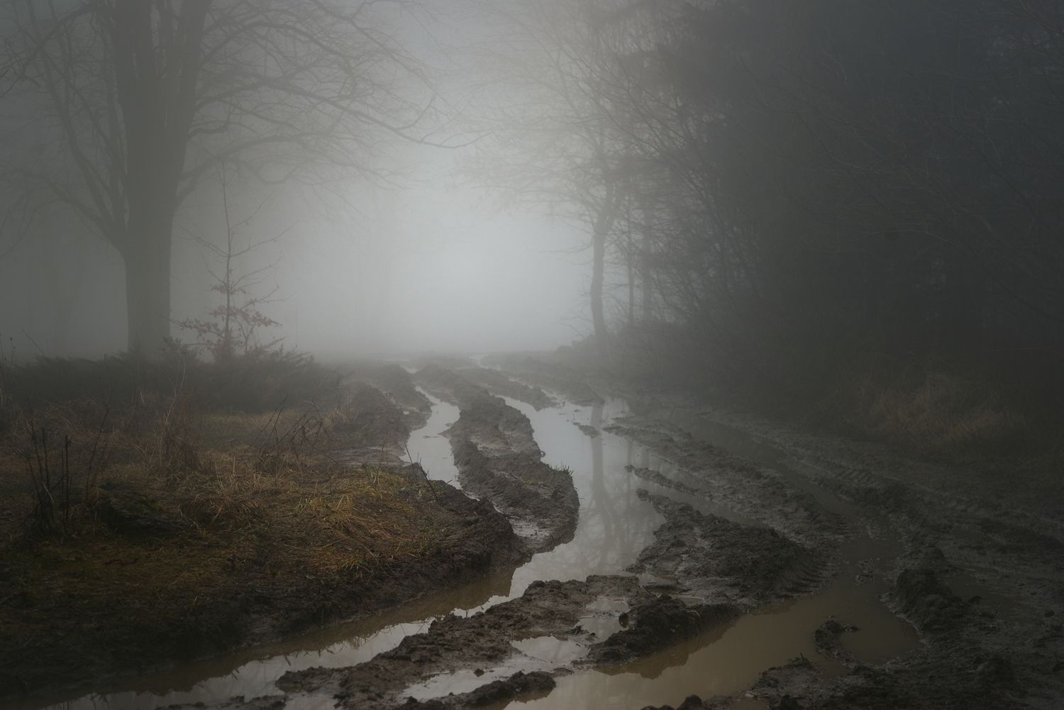 весна туман лес утро дорога, Александр Жарников